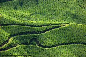 3 day kerala packages